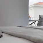 Paladin Apartment